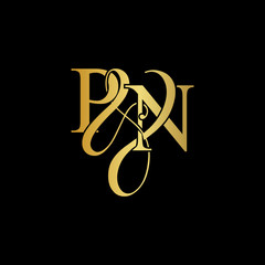 Initial letter P & N PN luxury art vector mark logo, gold color on black background.