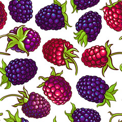 boysenberry vector pattern