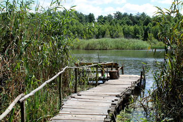 Naklejka premium summer