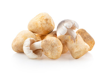 straw mushroom isolated on white background