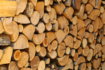 Stack of firewood, which is prepared for the winter......