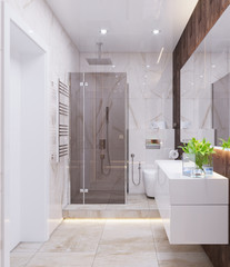 3D visualization of the interior of the bathroom in a modern style
