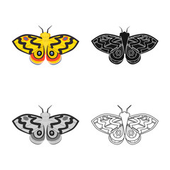 Isolated object of butterfly and elegant icon. Set of butterfly and vivid stock vector illustration.