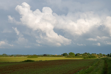 Fototapeta na wymiar Storm clouds building over green fields and trees on a summer day in the countryside near Shenington, Oxfordshire