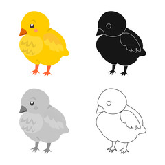 Isolated object of baby and chick sign. Set of baby and animal stock vector illustration.