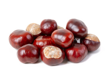 Obraz premium Horse chestnuts