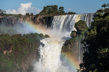 Iguazu Falls with forest in Argentina