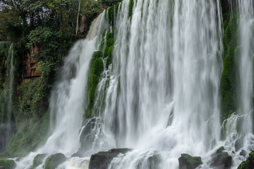 Fototapeta na wymiar Iguazu Falls with forest in Argentina