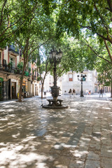Image of the tree-lined Sant Agusti Vell square, in the center of Barcelona, in the Gothic and Borne neighborhood. Ciutat Vella of Barcelona, Spain