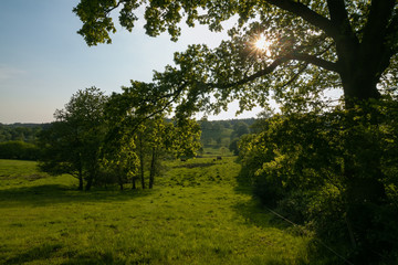 idyllic rural landscape with green hills and forest