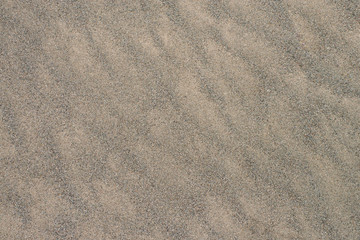 Fototapeta na wymiar Natural sandy beach background with wavy texture
