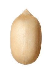Peanut isolated on white background