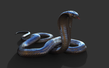 3d King Cobra The World's Longest Venomous Snake Isolated on Black Background, King Cobra Snake, 3d Illustration, 3d Rendering