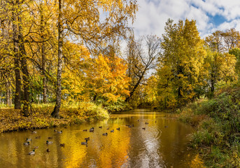 Sunny autumn day in a neglected Park on the banks of the Murzink