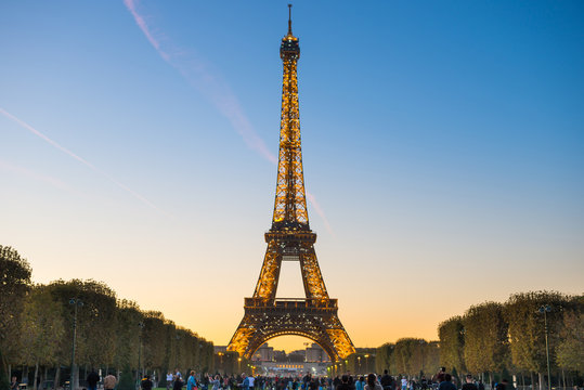 Illuminated Eiffel Tower at night in Paris