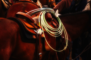 Extreme close up of a saddle and lariat on a brown horse