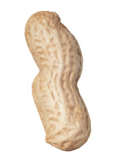 Peanut in shell isolated on white background