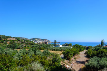 Fototapeta na wymiar the view from the hill to the olive groves, the Greek village, the Bay and the Mediterranean sea