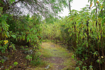 Floreana Island - Galapagos