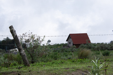 Cabaña en la montaña