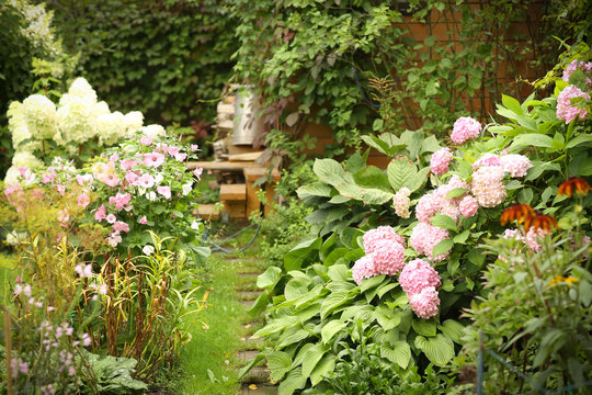 formal garden with hydrangea flowers, gladiolus, flox and wood store summer green photo