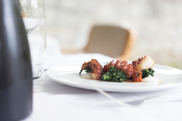 Close up on a dish with gourmet octopus salad
