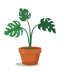 Houseplant flat vector illustration