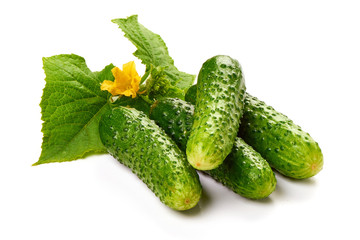 Fresh juicy cucumbers with leaf, isolated on white background