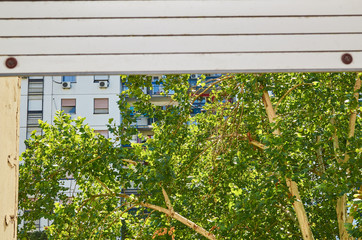 Part of a blind on a window in a residential building with part of a tree top and windows in a background
