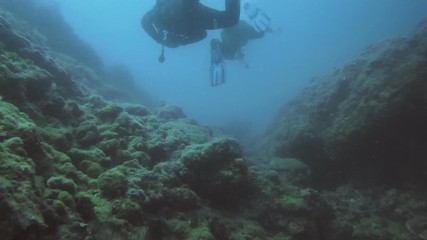 Divers underwater neer coral reef