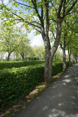 Well maintained park for recreation for all open in Germany