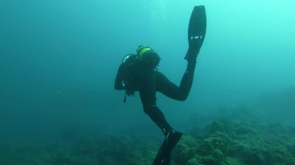 Divers underwater swimming in the sea