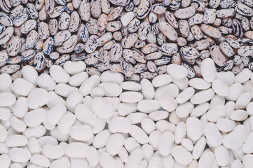 White bean varieties Chali and speckled beans pinto closeup varieties. Macro shot.