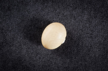 Small white beans of Nevi variety close-up on a black background. Macro shot.