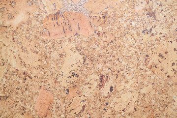 cork texture. cork background. texture of cork board wood surface