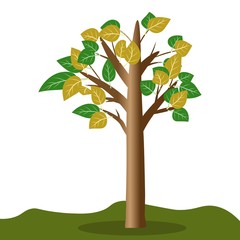 Fototapeta premium isolated cartoon tree with a huge leaves, vector illustration for props