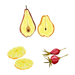 Isolated object of fruit and dried symbol. Set of fruit and food stock symbol for web.