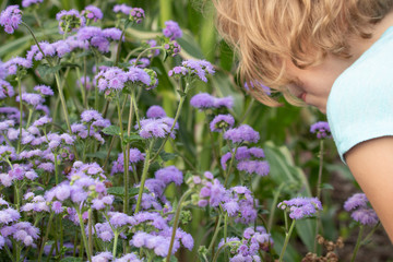 Obraz na płótnie Canvas Young girl smelling purple flowers