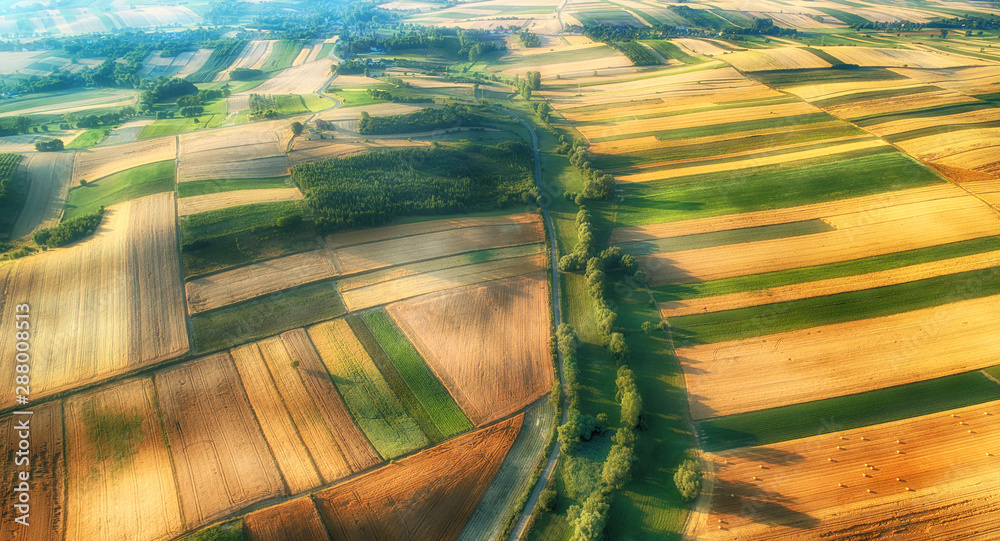 Wall mural Drone aerial view - fields on the morning - Wall murals