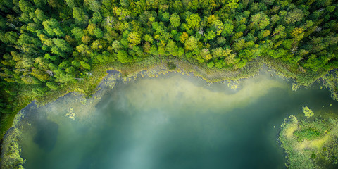Aerial landscape from the drone- lake shore - obrazy, fototapety, plakaty