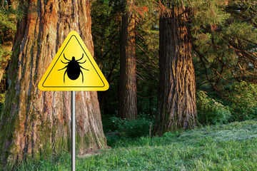 Tick insect warning sign in infected forest. Lyme disease and meningitis transmitter.