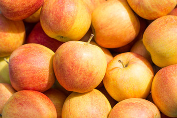 Fototapeta na wymiar fresh background of ripe red and yellow apples