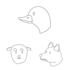 Vector design of food and homemade sign. Collection of food and homestead vector icon for stock.