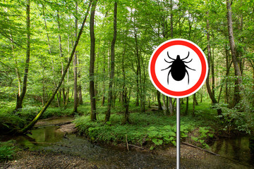Tick insect warning sign in infected forest. Lyme disease and meningitis transmitter.