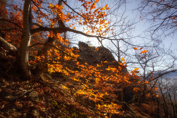 Autumn scenes in the mountains of Crimea, in the valley of ghosts. South Demerdzhi