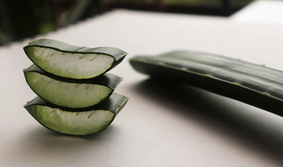 Aloe Vera Leaf Slice