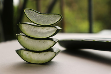Aloe Vera Leaf Slice