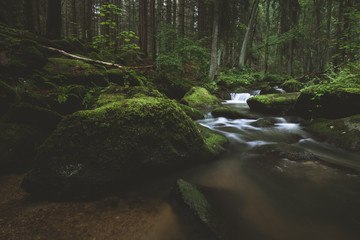 Wildbach fließt kaskadenförmig durch einen dunklen märchenhaft wirkenden Wald mit moosbedeckten Felsen.