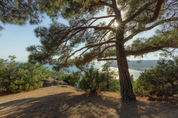 Obraz premium Autumn scenes in the mountains of Crimea, in the valley of ghosts. South Demerdzhi