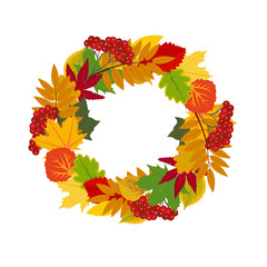Wreath of autumn leaves and Mountain ash. Symbol of the autumnal equinox (Mabon). Without a background, isolated